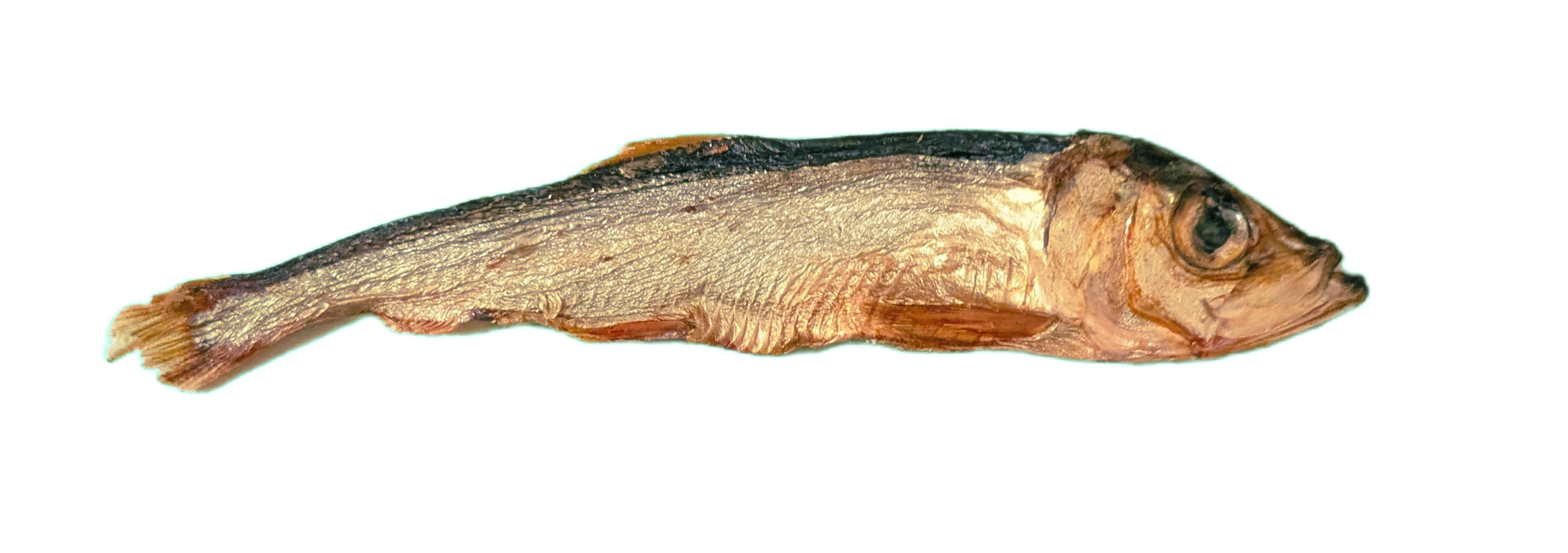 Click a button to support Palestine